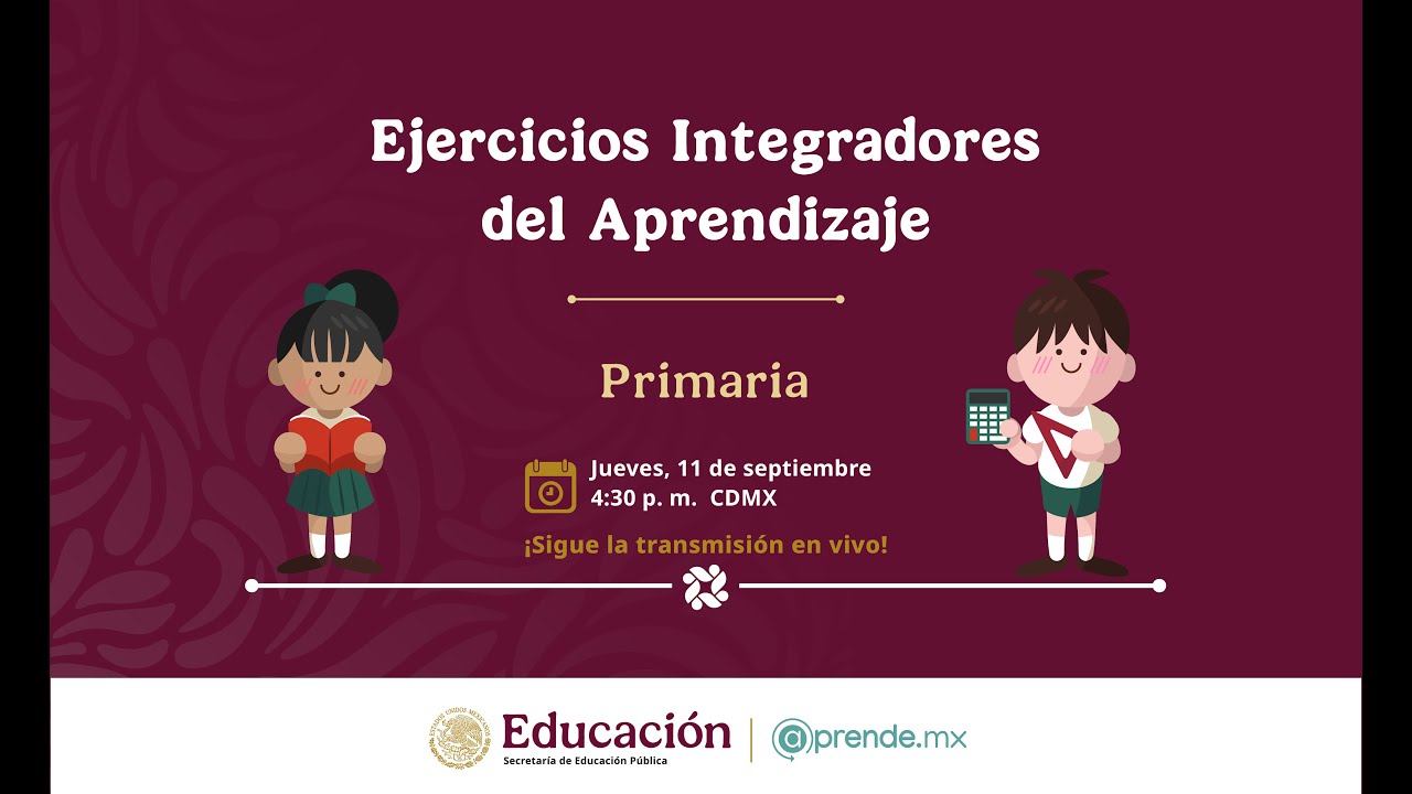 Ejercicios Integradores del Aprendizaje | Primaria