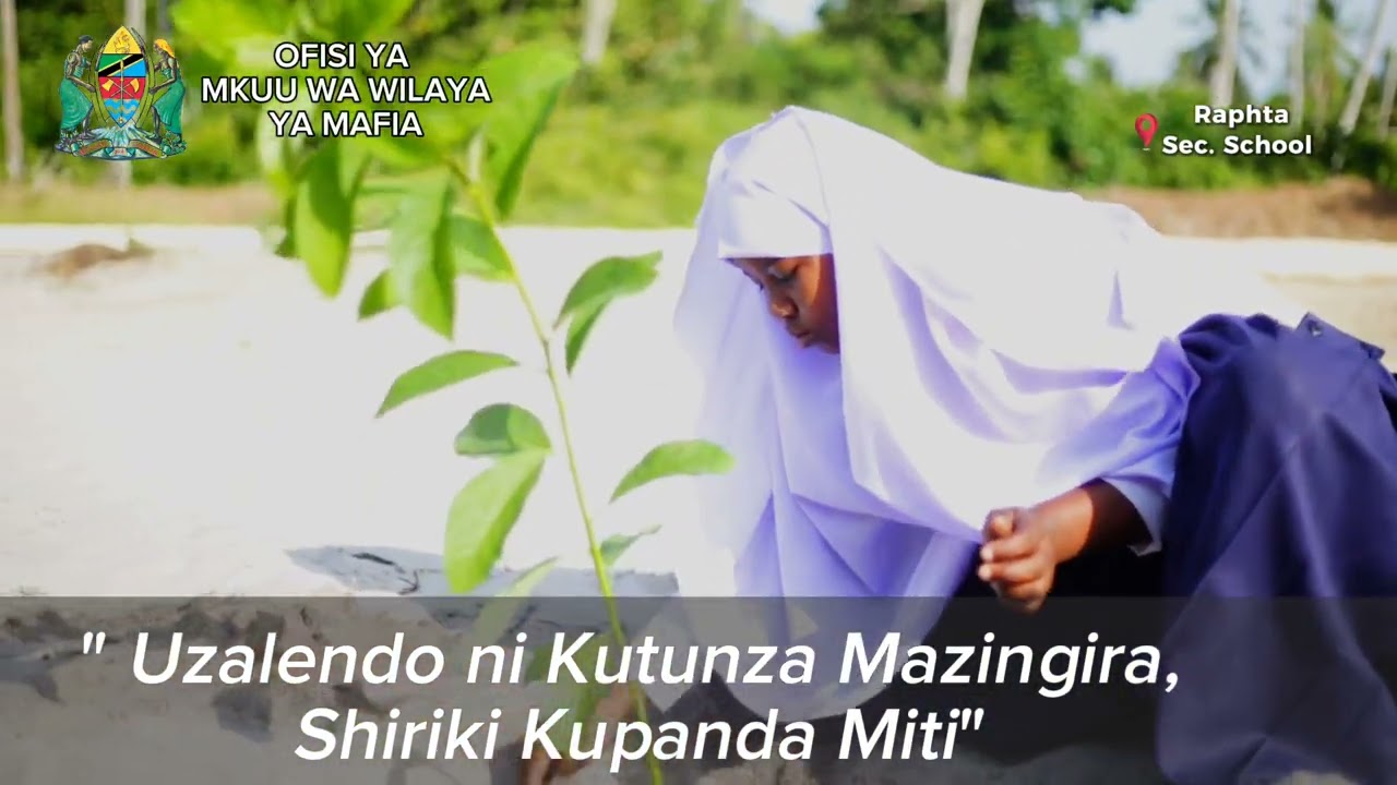 MAFIA YAUNGANA NA RAIS SAMIA KUHIMIZA UTUNZAJI WA MAZINGIRA