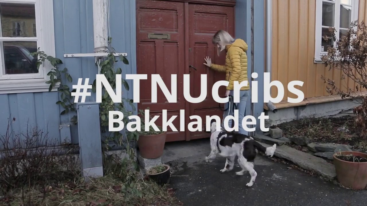 Bli med oss p&aring; Bakklandet | NTNU i Trondheim