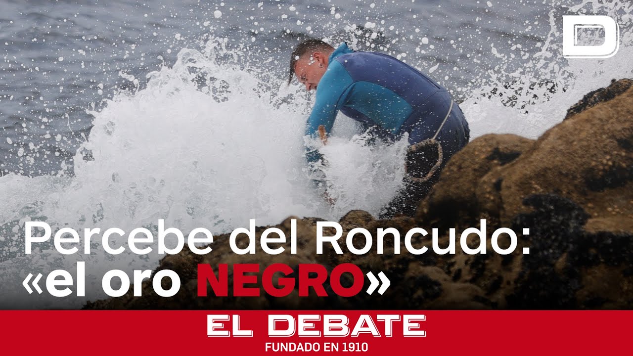 Percebe del Roncudo: el oro negro que solo brilla dos veces al a&ntilde;o