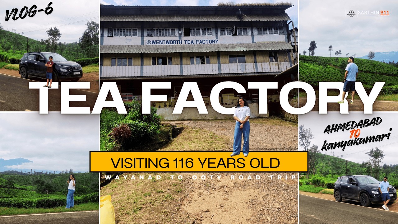 [VLOG-6] Wayanad to Ooty Road Trip 🚗 | Tea Gardens & 116-Year-Old Wentworth Tea Factory | Sarthin911