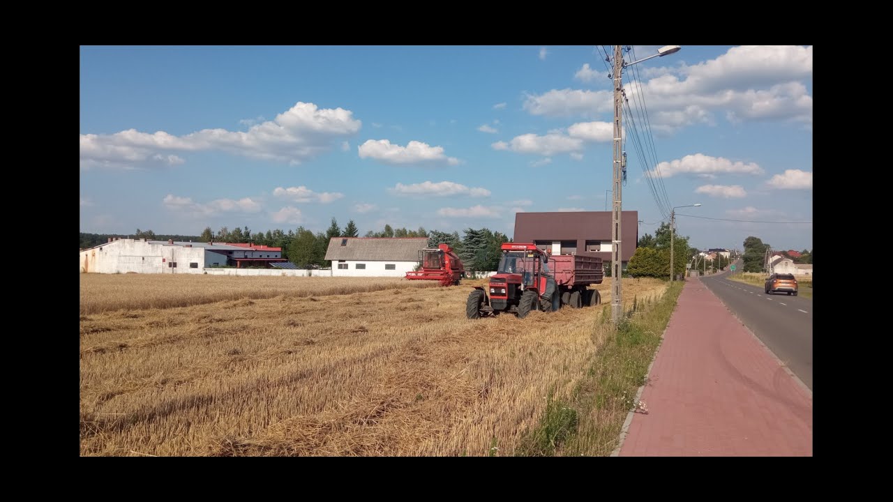 Żniwa 2022 Bizon Rekord Ursus 1224