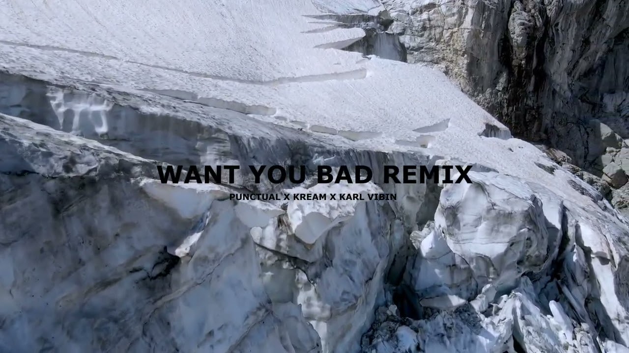 Punctual X KREAM - Want You Bad (KARL VIBIN Remix)