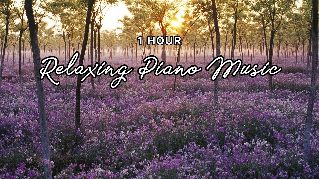 Beautiful Piano Music for Studying, Relaxing | 1 Hour