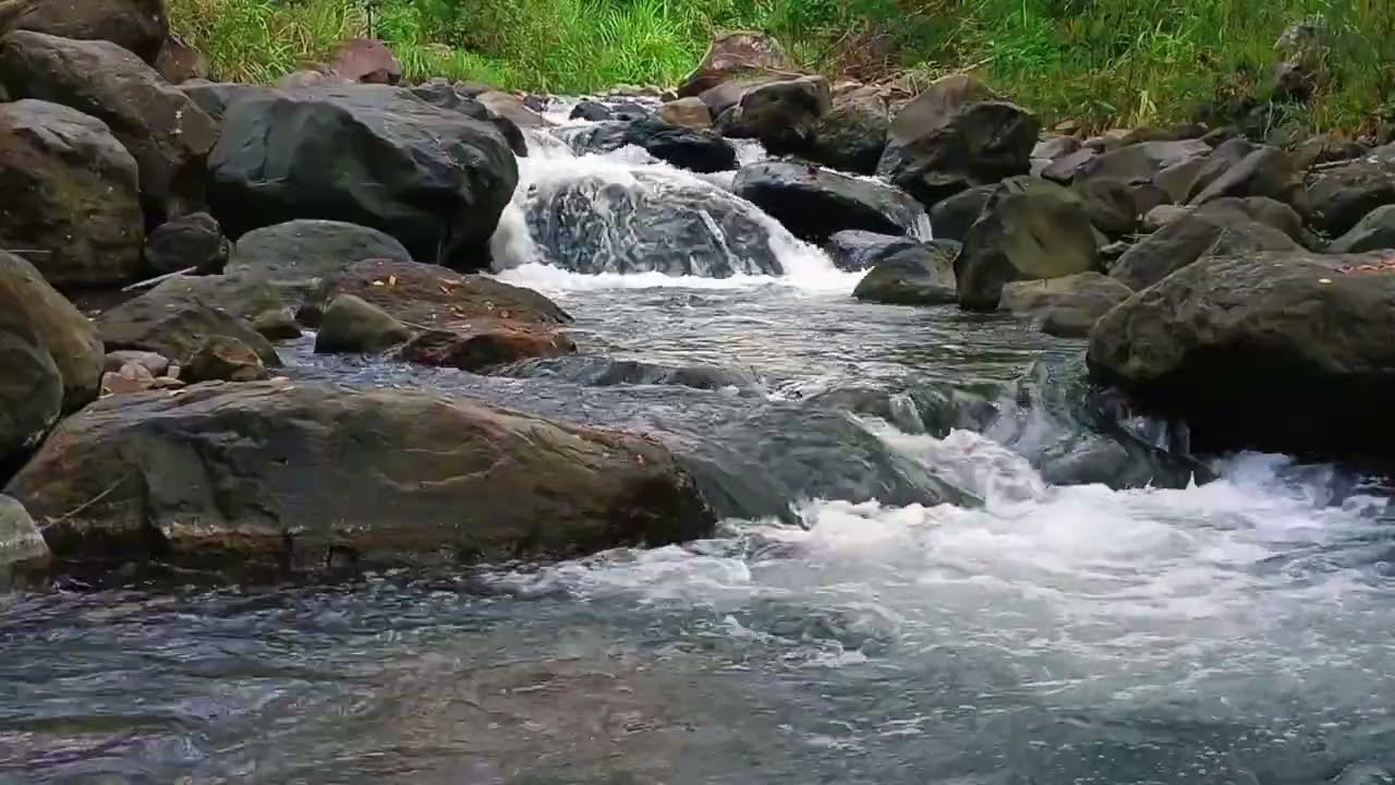 Natural Sounds to Focus on Studying, Relieve Stress, Calming Nature Sounds for Focus, ASMR