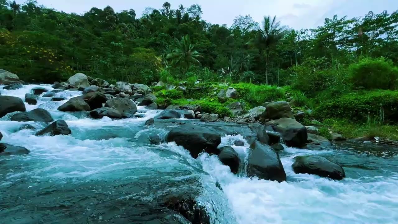 You Will Sleep in Minutes – Mountain River ASMR for Deep, Healing Rest