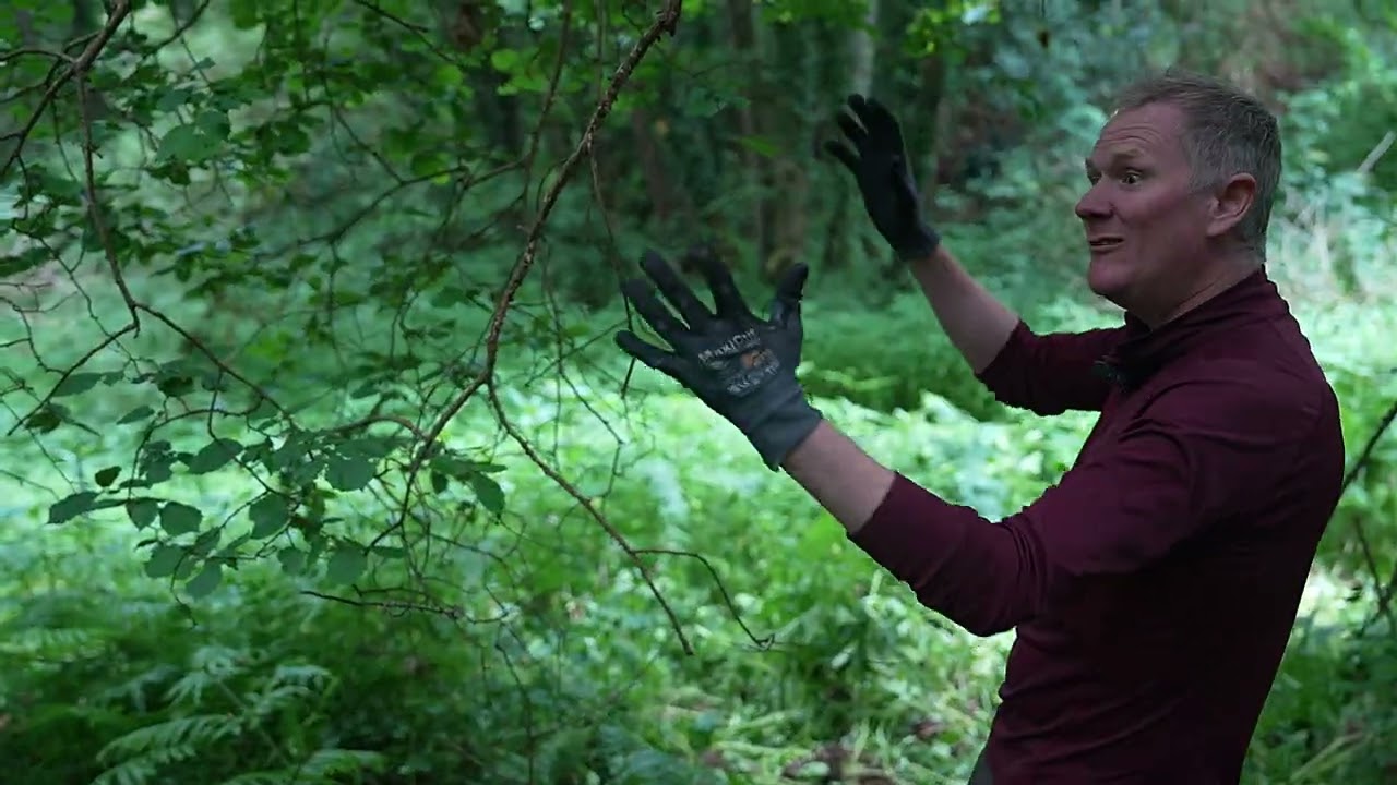 Himalayan Balsam control