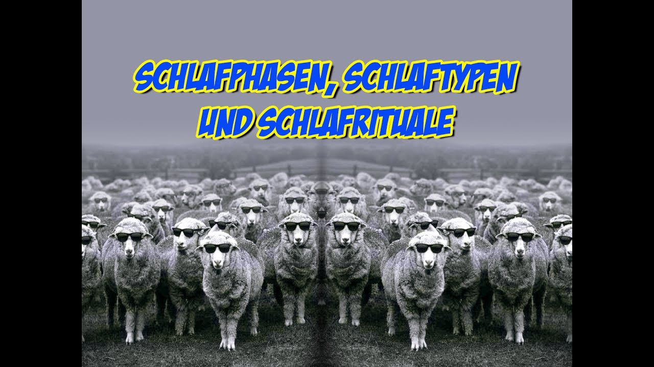 Schlafphasen, Schlaftypen, Schlafrituale und so weiter