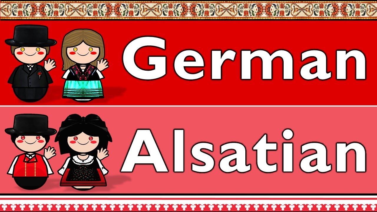 NIEMIECKI: NIEMIECKI I ALZACKI