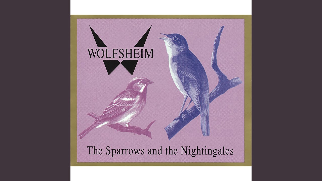 The Sparrows And The Nightingales (Radio Edit)