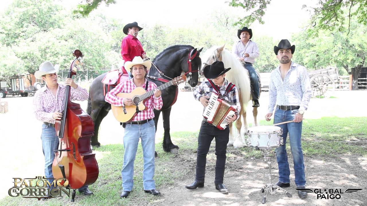 El Palomo y el Gorrión - La novia del pajarillo (En vivo)