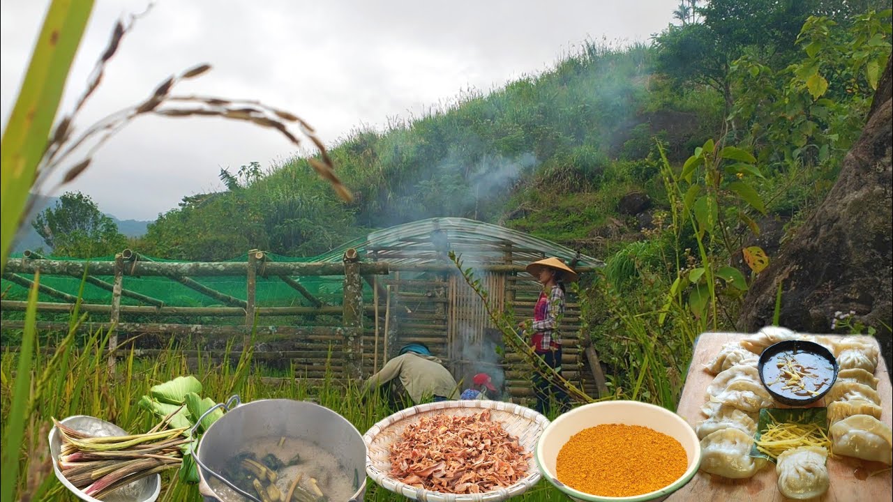 Chicken House Extension | Homemade Dumplings and Turmeric Powder