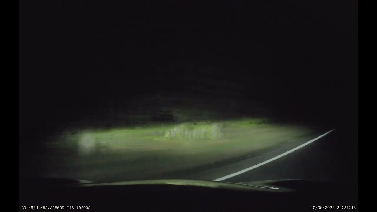 Toyota C-HR test łosia / sarny