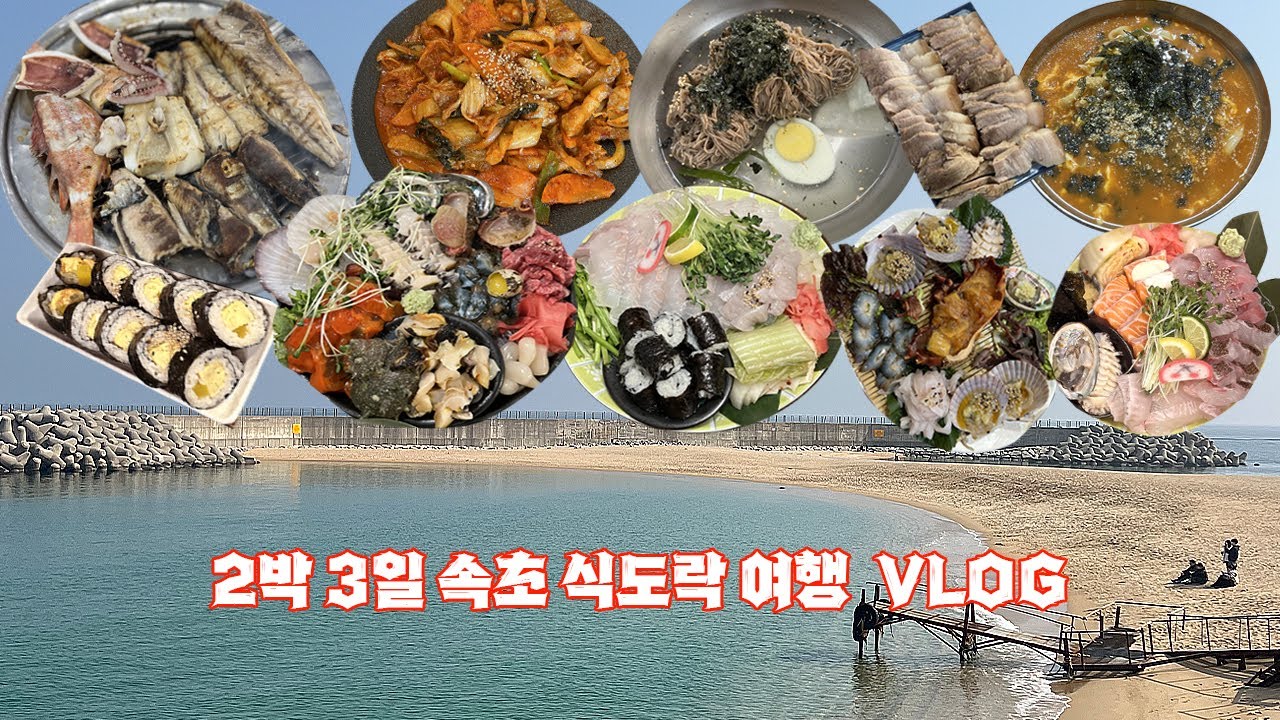 속초여행브이로그) 2박3일 식도락여행 속초맛집패기