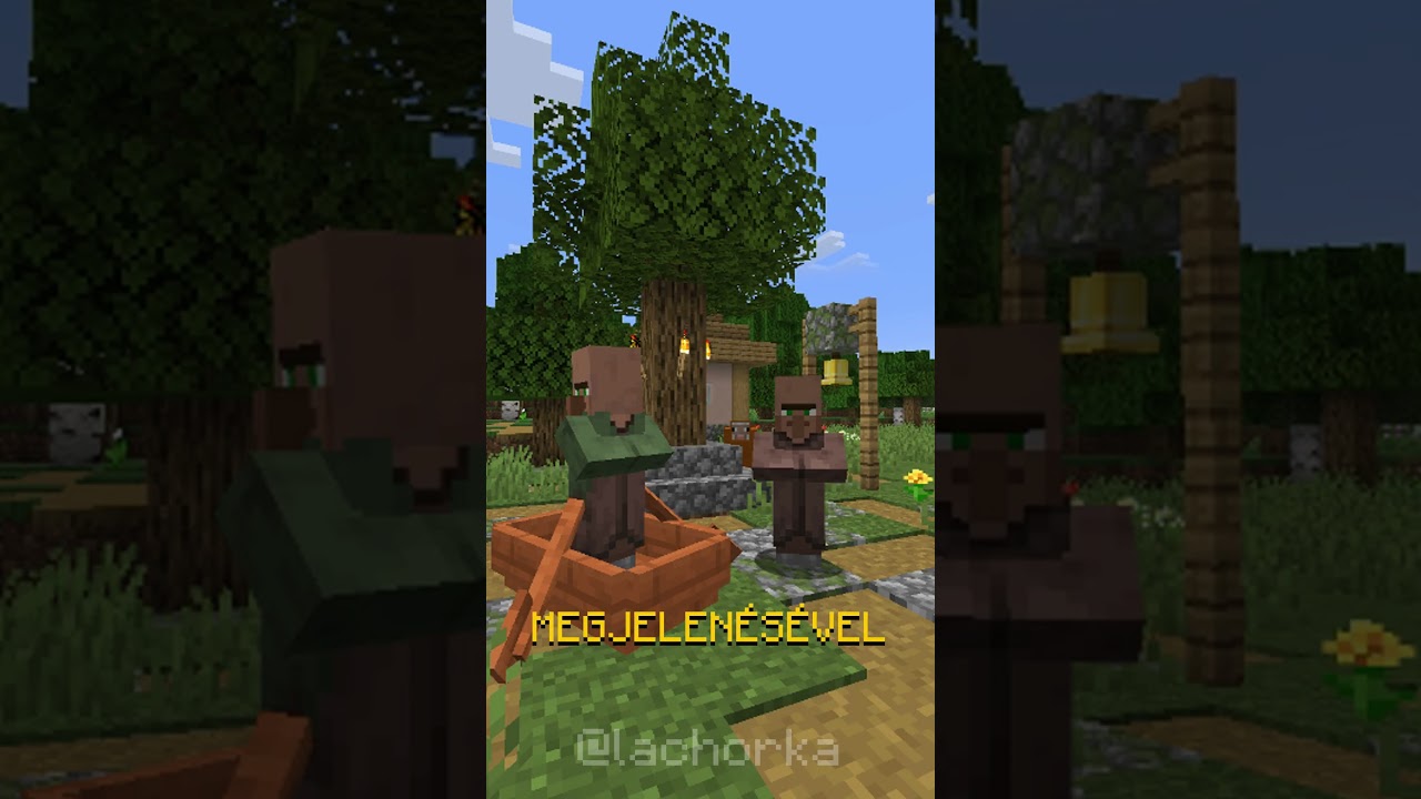 FALUSI PROPAGANDA A MINECRAFT-BAN! 🇭🇺🇭🇺💚