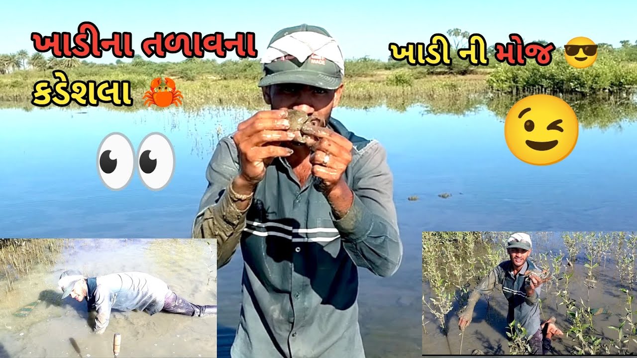 ખાડીના તળાવના કડેશલા🦀👀 ખાડી ની મોજ 😎#My first video😎my first vlogs #mynewvlog #Arvind Vlogs