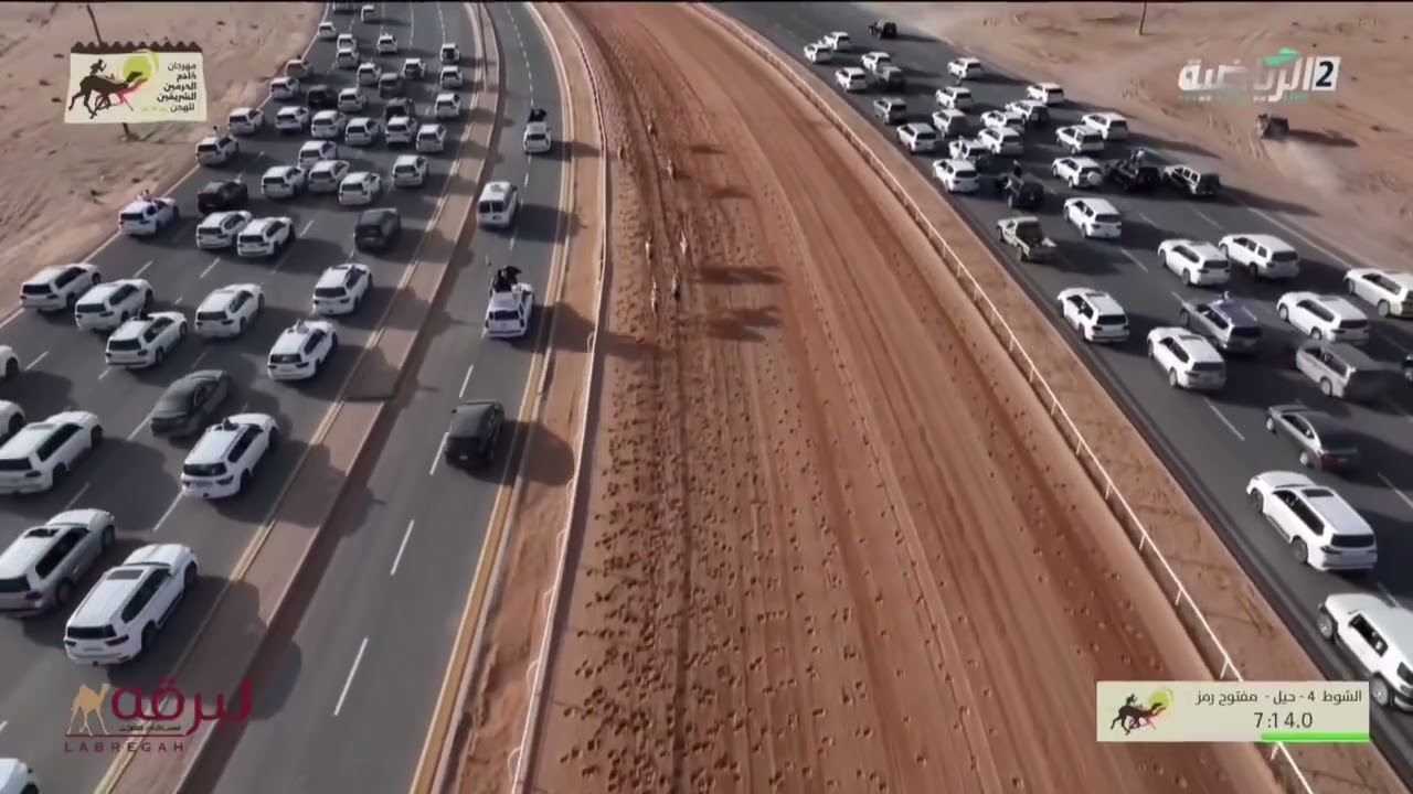 ( بصوت نايف البلوي ) السيف الذهبي لمهرجان خادم الحرمين الشريفين . الوارية لهجن الرئاسة .