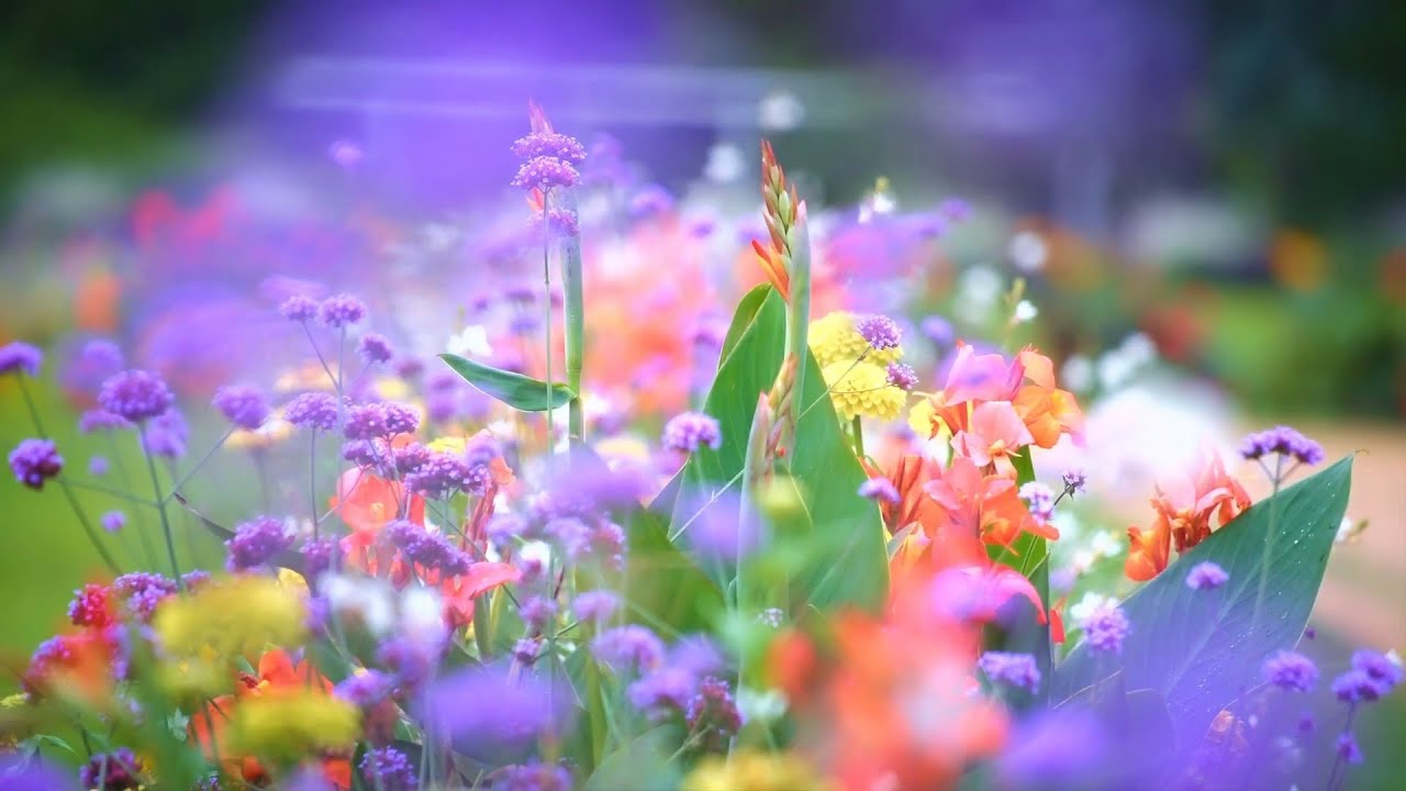 Nella Fantasia  -  Katherine Jenkins