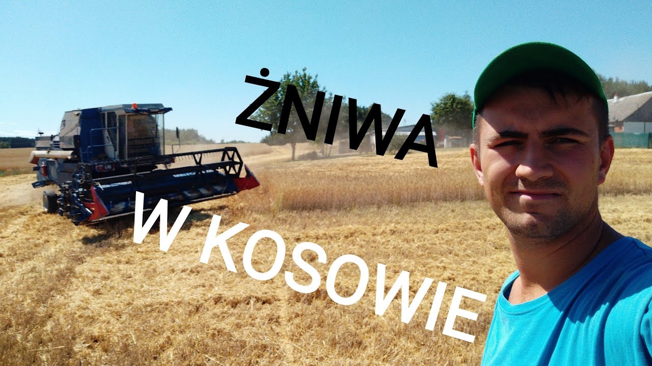 Zagraniczne żniwa! Dolaro na 4+!!! Vlog 206 Rolnik NIEprofesjonalny