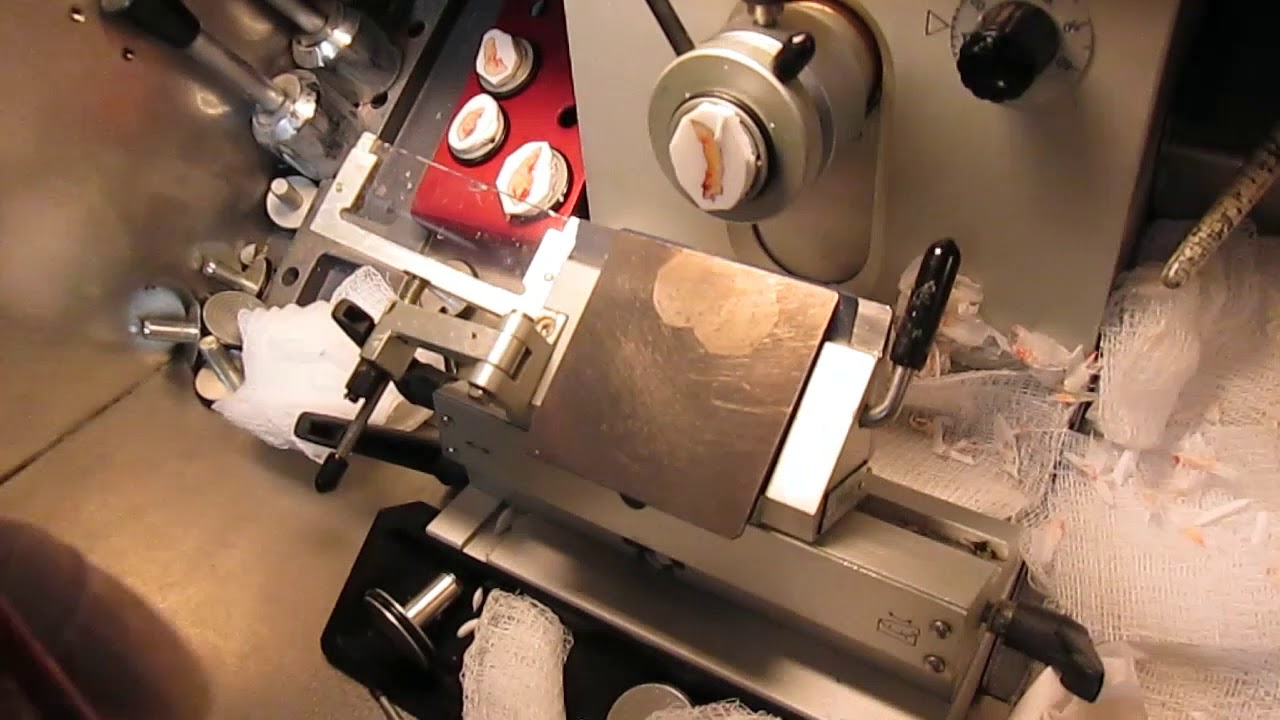 Frozen Sectioning: The Brush Technique