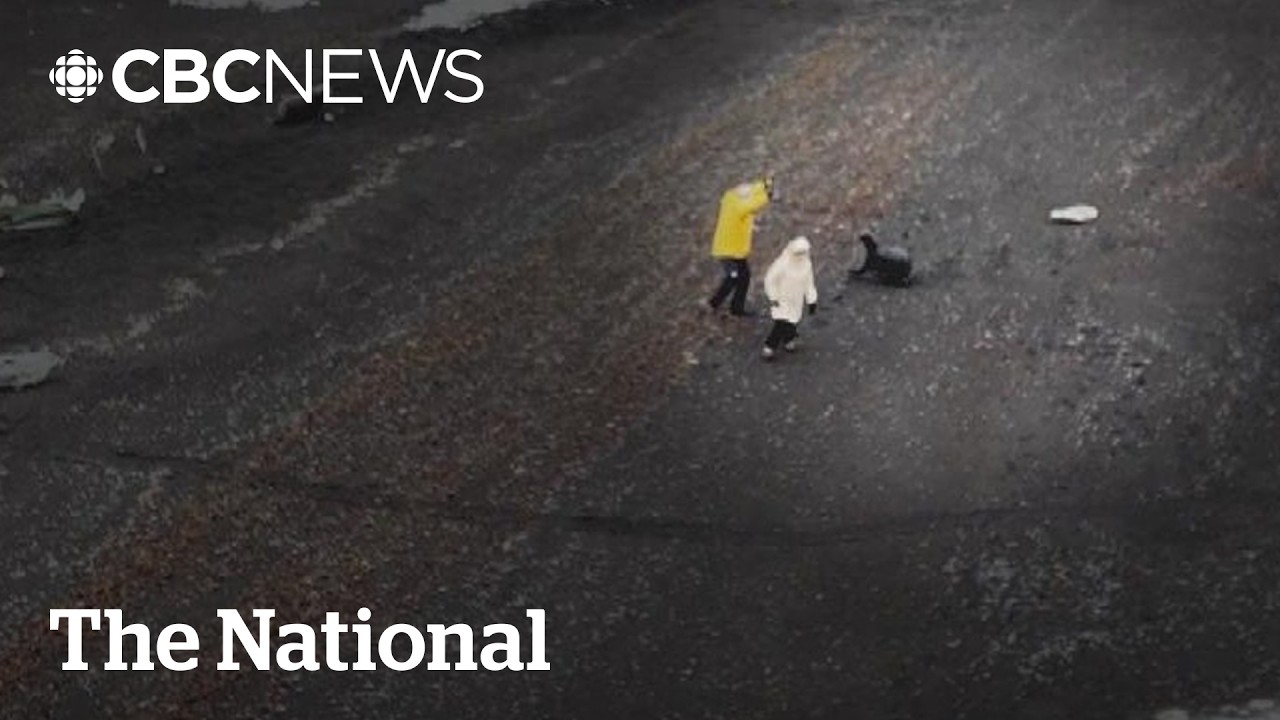 #TheMoment a CBC reporter was chased by a seal in Antarctica