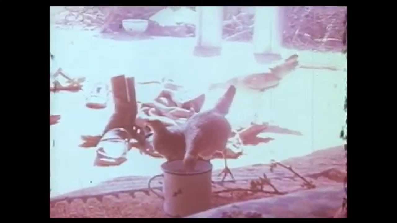 Agadir Morocco  1969