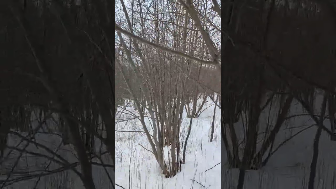 A Tour Around The Property (Part 3)
