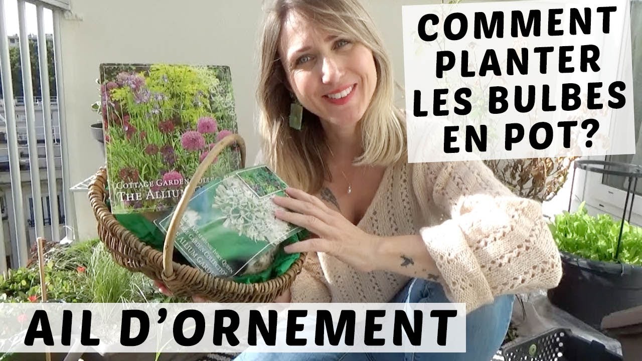 🌸 COMMENT PLANTER LES BULBES D'ALLIUM | PLANTER DES BULBES DE PRINTEMPS EN AUTOMNE
