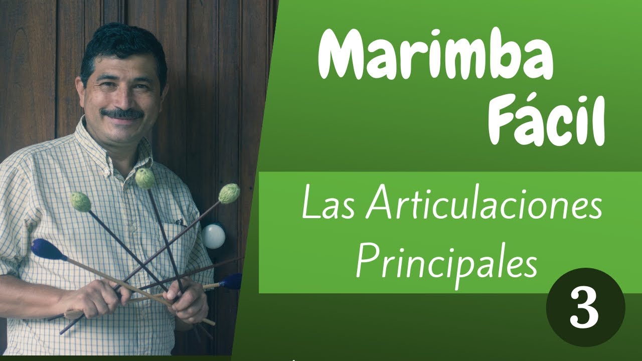 MARIMBA FÁCIL 03 -  LAS ARTICULACIONES PRINCIPALES