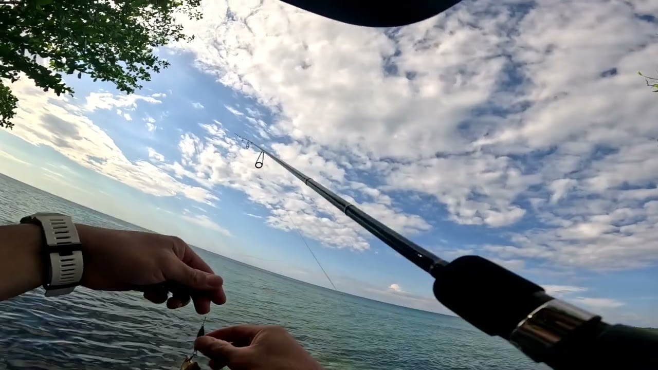 #UltraLight