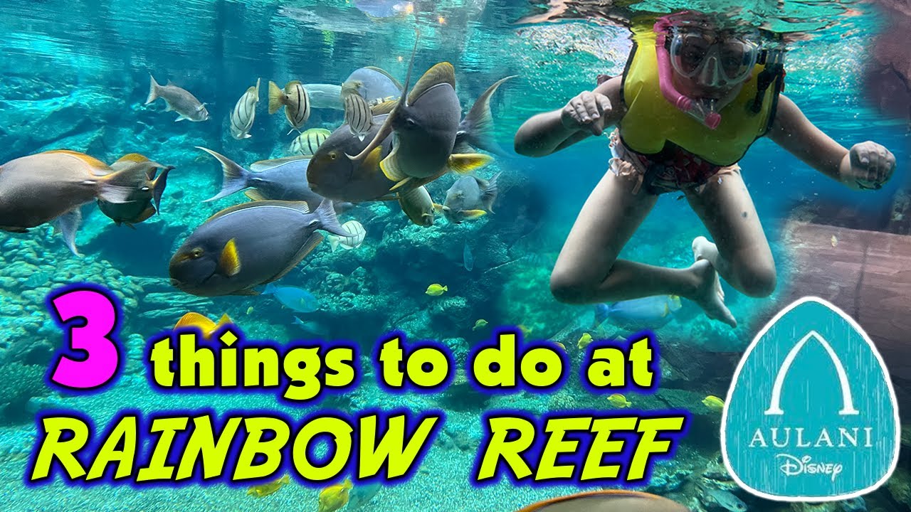 Dive into the Magic with 3 Different Experiences in Rainbow Reef at Aulani, A Disney Resort & Spa