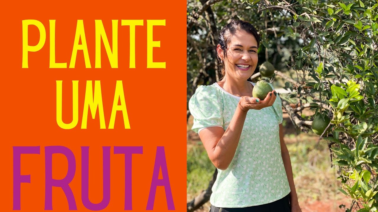FRUTÍFERAS: Como plantar frutíferas para produzir rápido