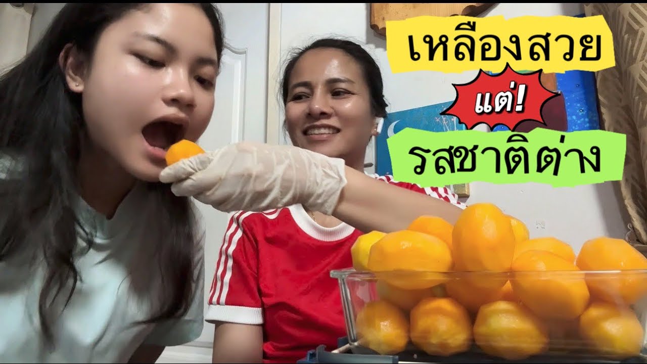 เหลืองสวยเหมือนกัน วัดกันที่รสชาติ “มะปราง🔀มะยงชิด” v.190