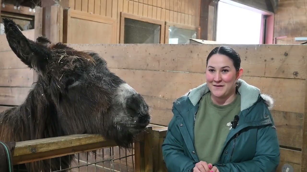 Forest Park Zoo  PKG