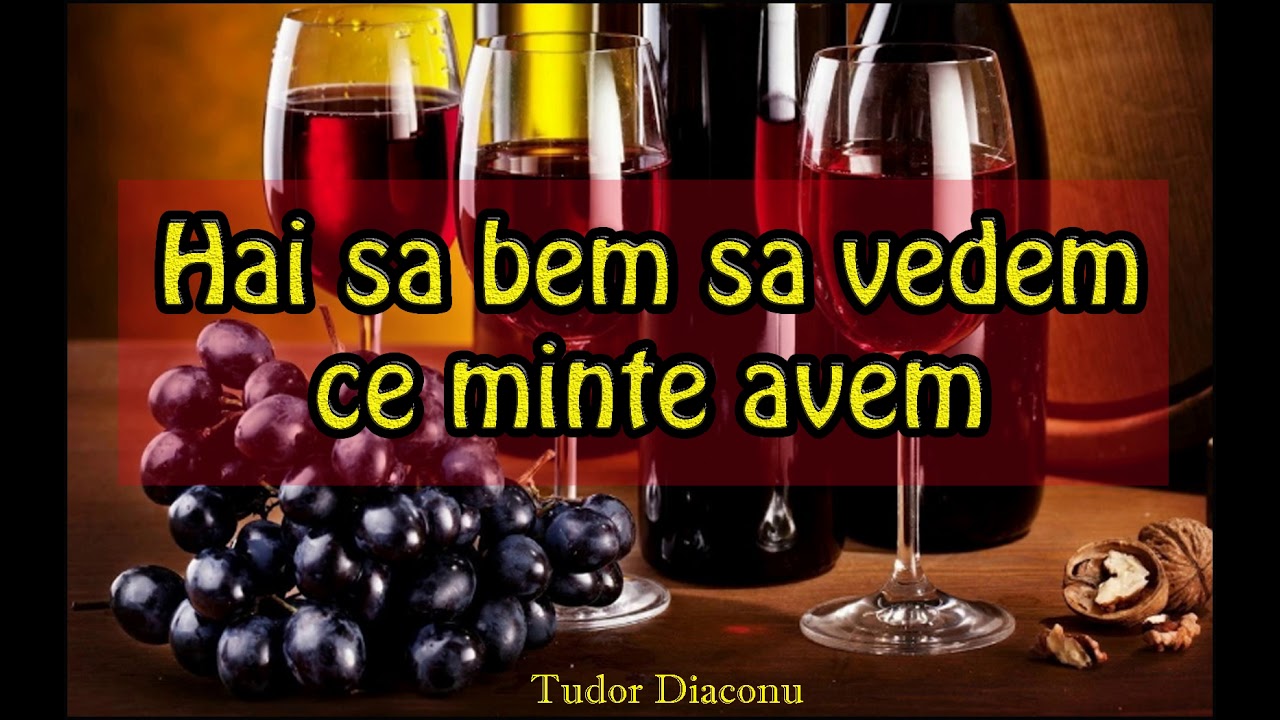 Tudor Diaconu HAI SA BEM