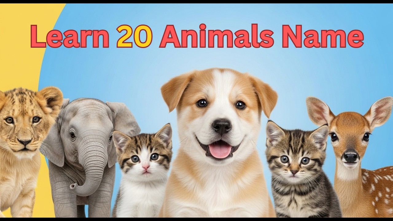 Learn Animals Name | Pet & Wild Animals for Kids | Animal Names Video