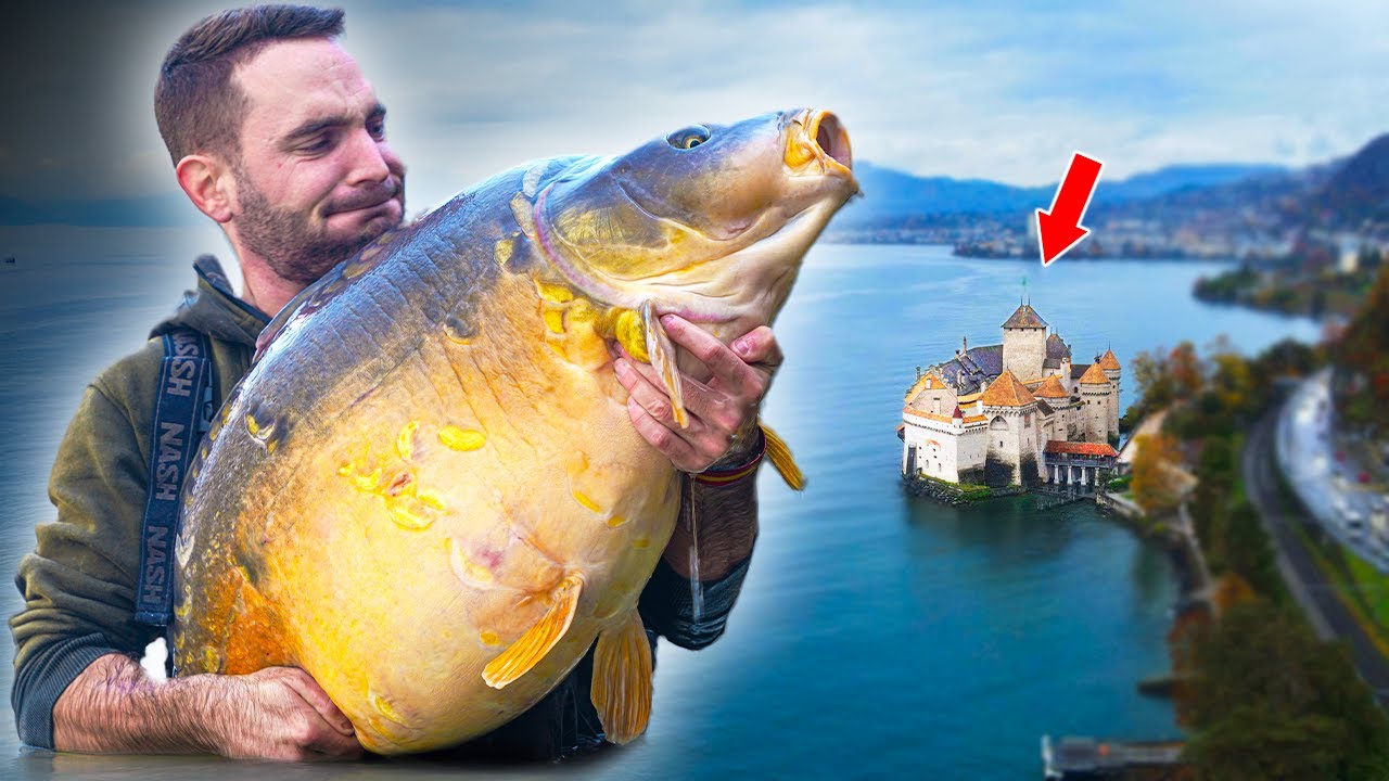 Así capturé el RECORD¡¡¡ | Pulidocarp | Carp fishing España