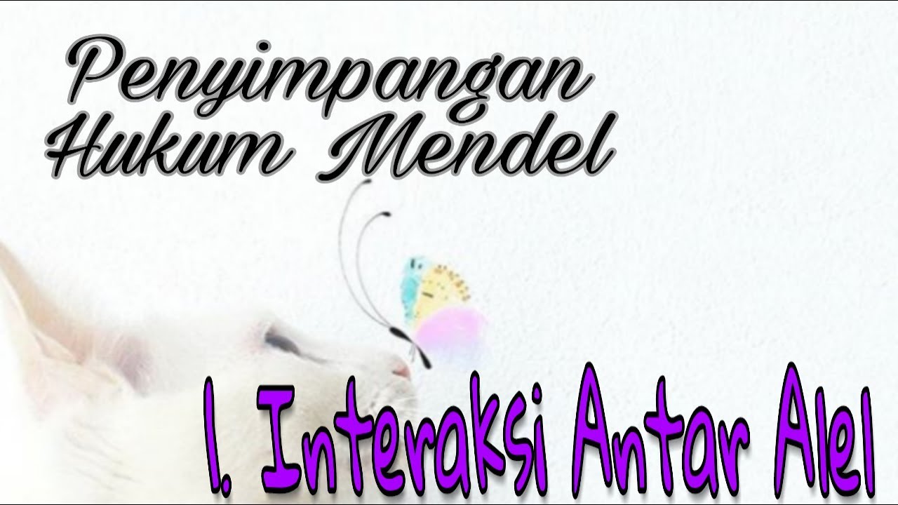 Penyimpangan Semu Hukum Mendel : 1. Interaksi Antar Alel
