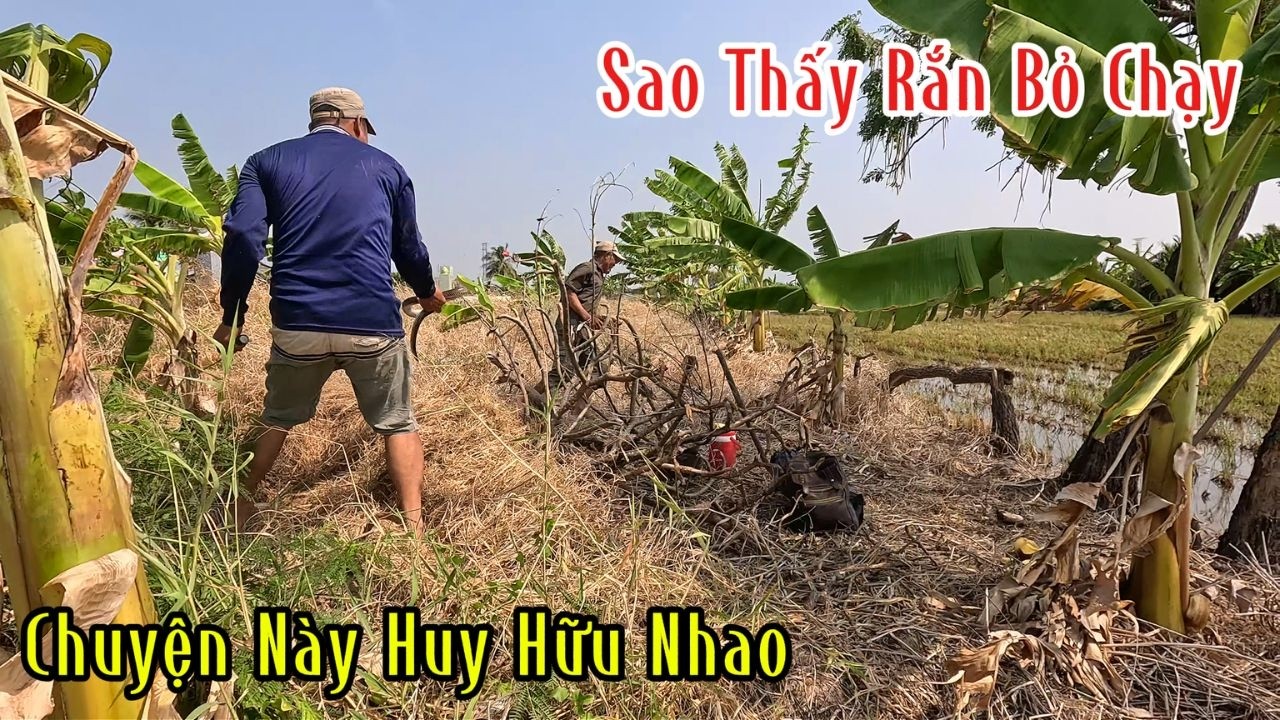 Lạ Thiệt Đi Xem Đào Rắn Mà Tới Con Rắn Thì Bỏ Chạy Té Khói Luôn | Mười Thương Săn Bắt