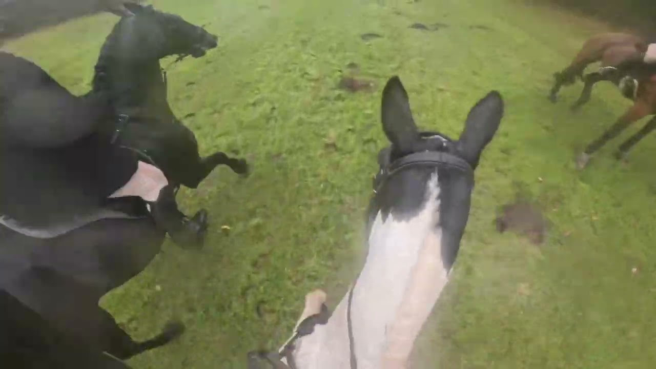 Readyfield Bloodhounds Opening Meet - Nottinghamshire @ Broomhill Grange