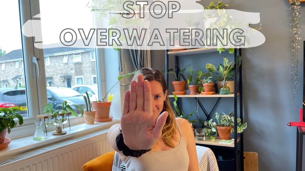 STOP OVER WATERING YOUR HOUSEPLANTS: My top 5 tips if your an over waterer!