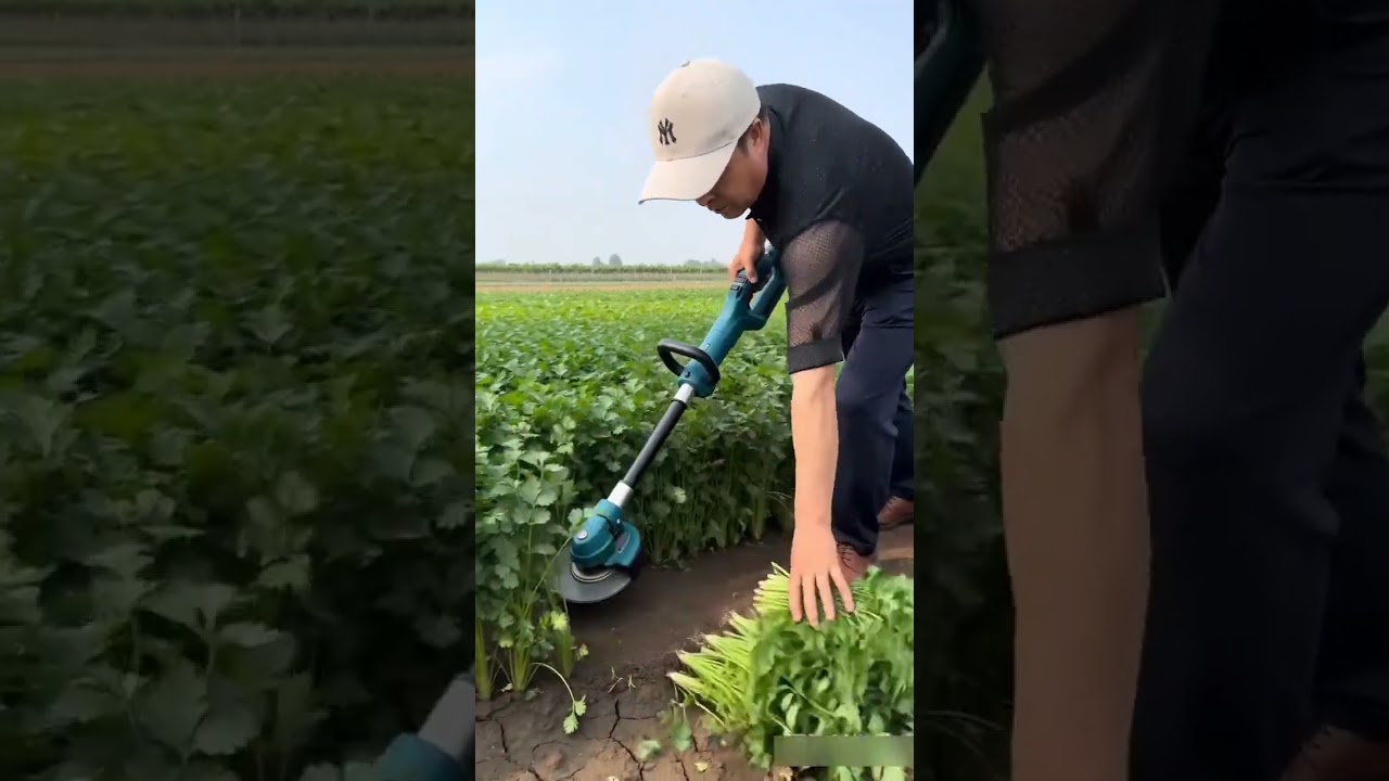 Efficiency in Action: Precision Handheld Harvester #shorts#explore #trendingshorts#viral #satisfying
