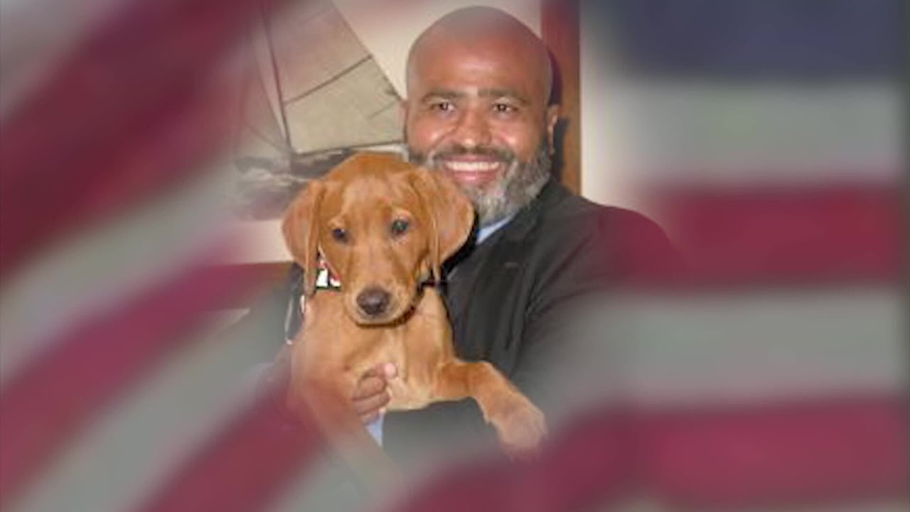 Paws, Hooves, & Healing: How Animals Are Changing Lives | Mavin's Vault