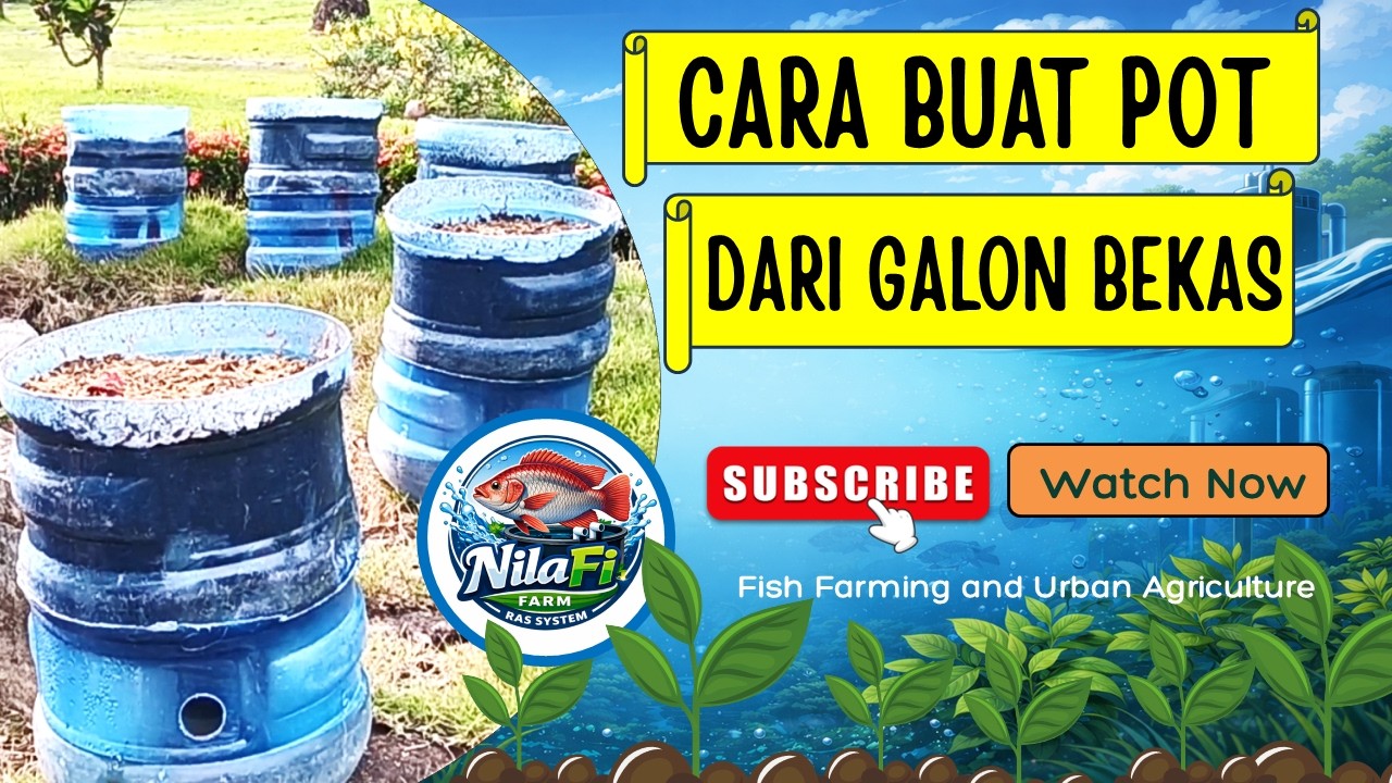 Cara Membuat Pot Tanaman dari Galon Bekas Gak Buat Capek Nyiram