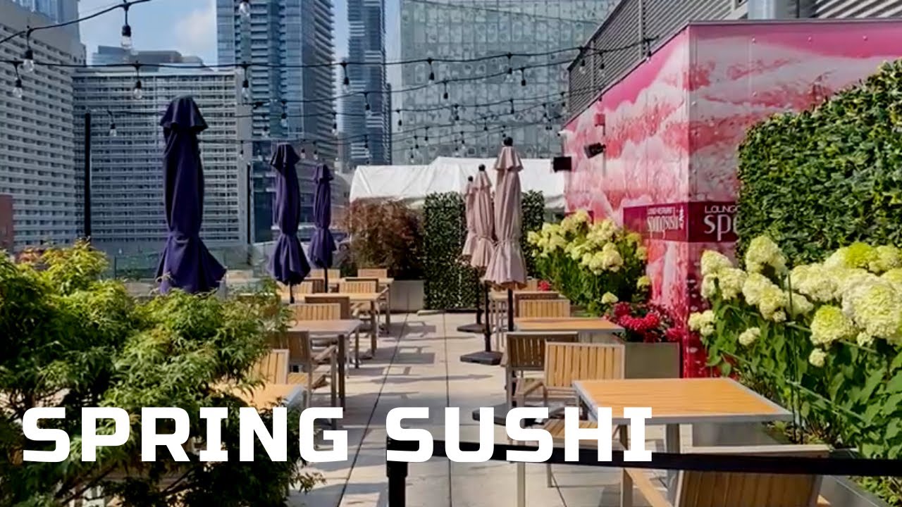 Spring Sushi. Панорамный Вид на Центр города. Дешевый Ресторан в Торонто.