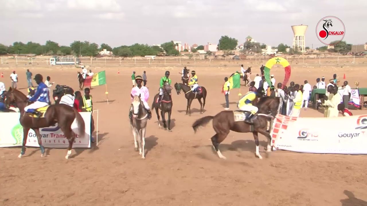 Course Fusion Gr2/G3 du Grand Prix 1ere Dame à Louga du 19/06/22