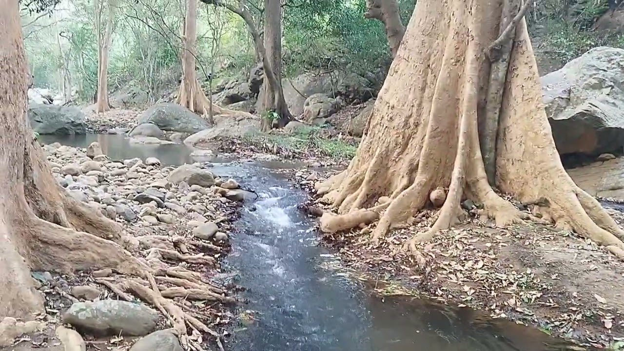 பொம்முடியில் இருந்து ஏற்காடு செல்லும் வழியில் ( ஏர்காட்டிற்க்கு) வடக்கு பகுதியில் உள்ளநீர் வீழ்ச்சி.