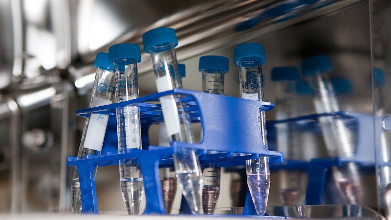 How Many Eggs to Transfer for IVF | Infertility