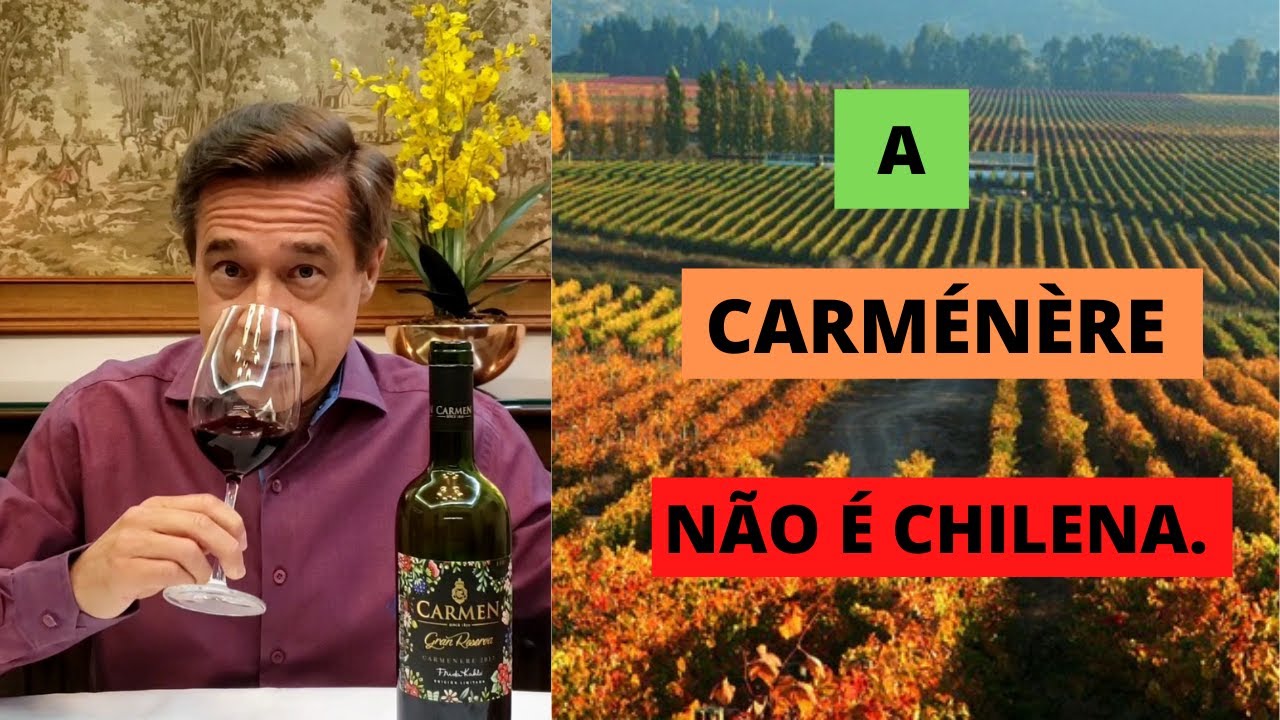 Carménère: sua origem, história e  características.