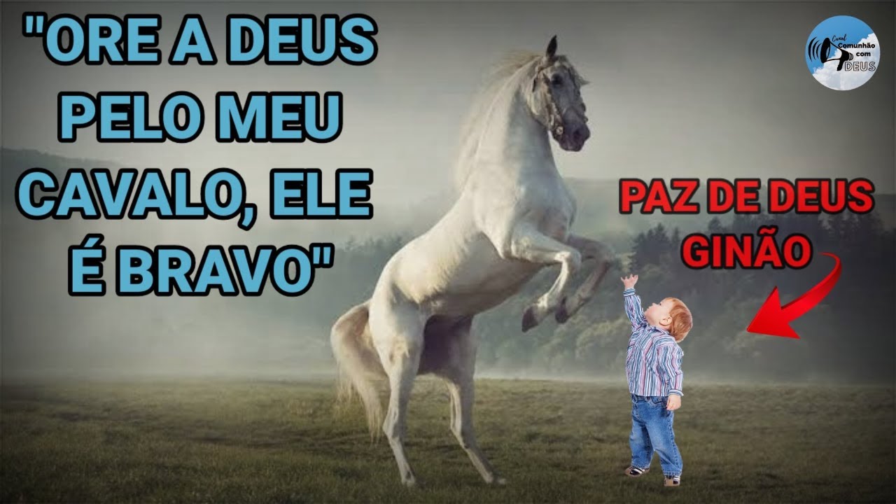 TESTEMUNHO CCB- O CAVALO GINÃO + VÁRIAS OBRAS LINDÍSSIMAS (PEGUE SEU LENÇO)